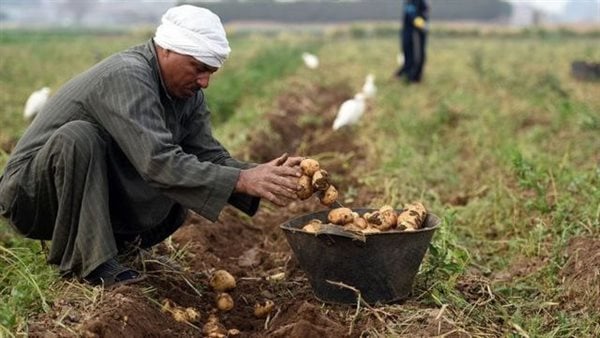 الجريدة الرسمية تنشر قرار اعتماد أوراق تأسيس النقابة العامة للفلاحين وصغار المزارعين الجريدة الرسمية تنشر قرار اعتماد أوراق تأسيس النقابة العامة للفلاحين وصغار المزارعين