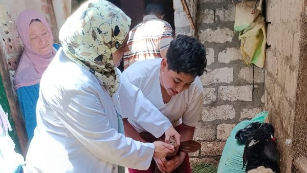 قافلة بيطرية مجانية لـ قرية إكراش بديرب نجم في الشرقية قافلة بيطرية مجانية لـ قرية إكراش بديرب نجم في الشرقية