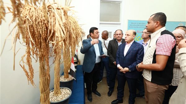 محافظ كفرالشيخ ووزير زراعة مدغشقر يناقشان التعاون في قطاع الزراعة والثروة الحيوانيّة محافظ كفرالشيخ ووزير زراعة مدغشقر يناقشان التعاون في قطاع الزراعة والثروة الحيوانيّة