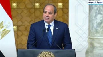السيسي يشدد على ضرورة تسريع الإصلاح المؤسسي للاتحاد الأفريقي خلال استقبال رئيس أنجولا