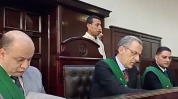 إحالة أوراق قاتل نجل شقيقه بالسنبلاوين للمفتى