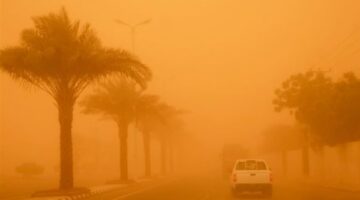 محافظ القاهرة يقرر تعليق الدراسة بالمدارس غدًا لسوء الأحوال الجوية