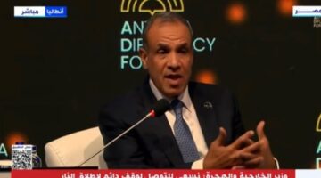 وزير الخارجية: مصر لم ولن تتعرض لأي ضغوط تتعلق بقضية تهجير الفلسطينيين