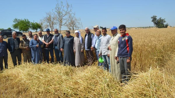 الزراعة تواصل متابعة أعمال حصاد وتوريد القمح بالمحافظات الزراعة تواصل متابعة أعمال حصاد وتوريد القمح بالمحافظات