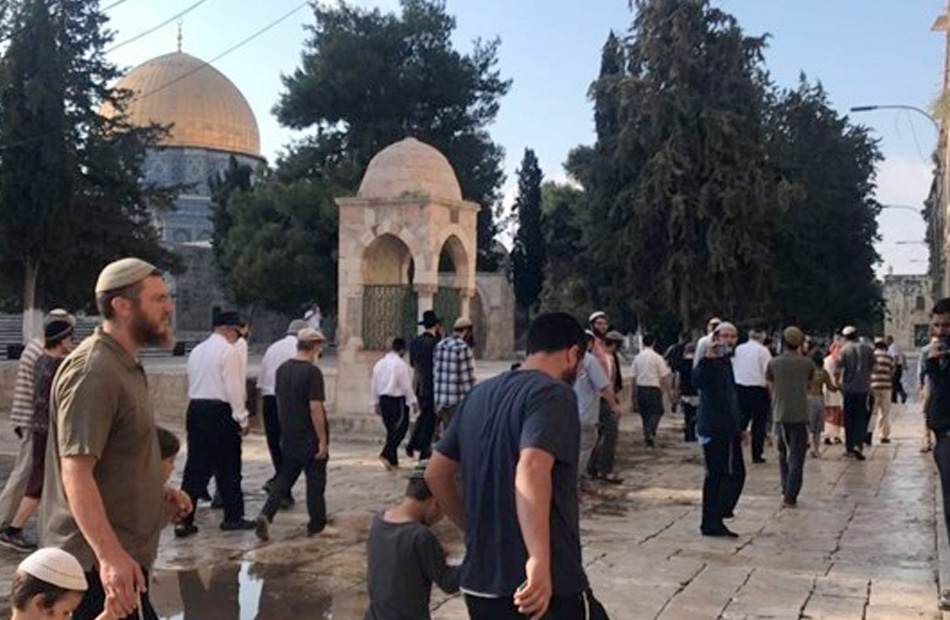مستوطنون إسرائيليون يدمرون مدرسة فلسطينية جنوبي الضفة مستوطنون إسرائيليون يدمرون مدرسة فلسطينية جنوبي الضفة