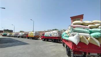 صوامع الشرقية تستقبل 556 ألف طن من القمح خلال موسم الحصاد الحالي حتى الآن
