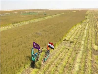 الموافقة على 419 طلب لإقامة مشروعات متنوعة من الانتاج الزراعي والحيواني والداجنى بالوادي الجديد الموافقة على 419 طلب لإقامة مشروعات متنوعة من الانتاج الزراعي والحيواني والداجنى بالوادي الجديد