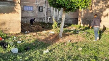 رفع كفاءة المسطحات الخضراء والجزر الوسطى بمحيط مقابر مدينة بورفؤاد في بورسعيد