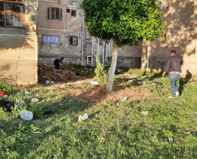 رفع كفاءة المسطحات الخضراء والجزر الوسطى بمحيط مقابر مدينة بورفؤاد في بورسعيد