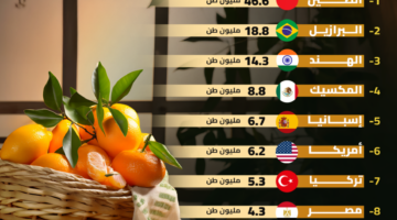 مصر ثامن العالم.. أكبر 10 دول في إنتاج الموالح