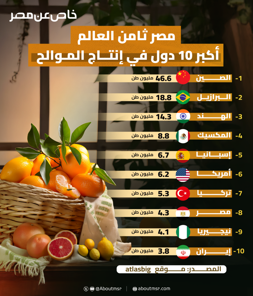 مصر ثامن العالم.. أكبر 10 دول في إنتاج الموالح مصر ثامن العالم.. أكبر 10 دول في إنتاج الموالح