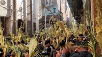 أهالي قريتي البرشا والبياضية في المنيا يحتفلون بأحد الشعانين