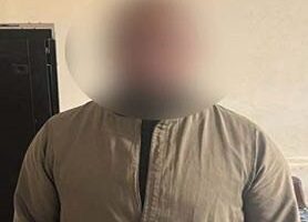 الداخلية تكشف ملابسات فيديو تضمن محاولة شخص وضع كلب ضال داخل جوال بالقاهرة