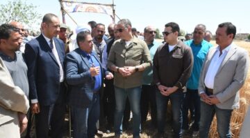 محافظ الفيوم يفتتح موسم حصاد القمح بأحد الحقول الزراعية بقصر رشوان