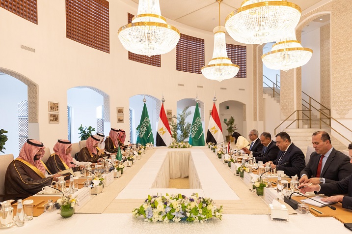 وزير الخارجية يترأس وفد مصر في أعمال لجنة المتابعة والتشاور السياسي مع السعودية بالرياض وزير الخارجية يترأس وفد مصر في أعمال لجنة المتابعة والتشاور السياسي مع السعودية بالرياض