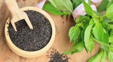 5 فوائد صحية لبذور الريحان عند دمجها في نظامك الغذائي