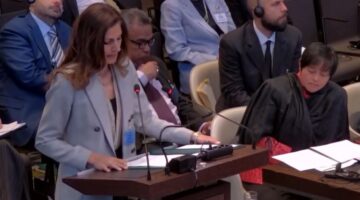 أمام محكمة العدل الدولية.. مصر تطالب إسرائيل بالانسحاب من الأراضي المحتلة ورفع الحصار عن غزة