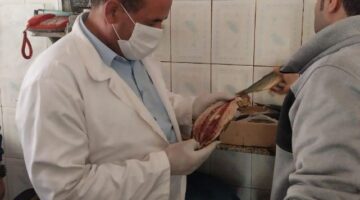 الطب البيطري بالغربية يضبط 8.5 طن أسماك مدخنة ومملحة غير صالحة للاستهلاك