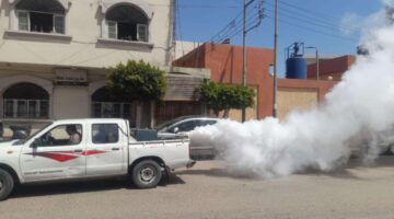 محافظ الغربية: حملات مكثفة لمكافحة الناموس في مراكز ومدن المحافظة