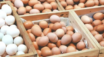 سعر كرتونة البيض الأبيض والأحمر والبلدي اليوم السبت 26-4-2025
