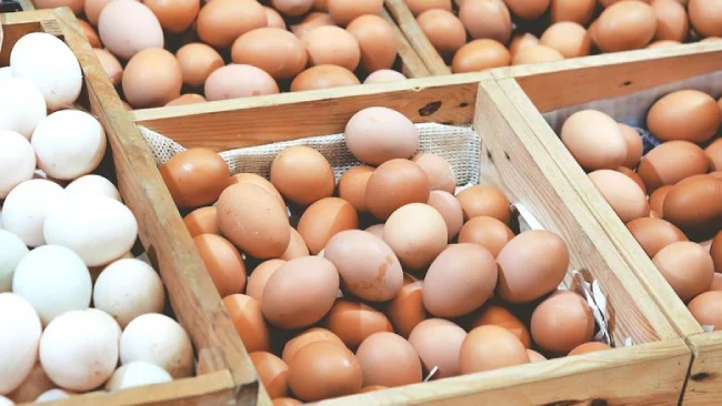 سعر كرتونة البيض الأبيض والأحمر والبلدي اليوم السبت 26-4-2025 سعر كرتونة البيض الأبيض والأحمر والبلدي اليوم السبت 26-4-2025