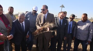 محافظ سوهاج يتفقد حصاد القمح ويتابع أعمال التوريد بالصوامع