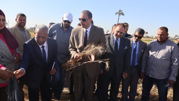محافظ سوهاج يتفقد حصاد القمح ويتابع أعمال التوريد بالصوامع
