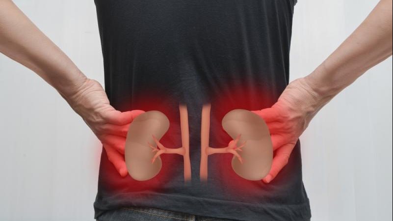 9 عادات شائعة تضر الكلى.. احذر من ارتكابها