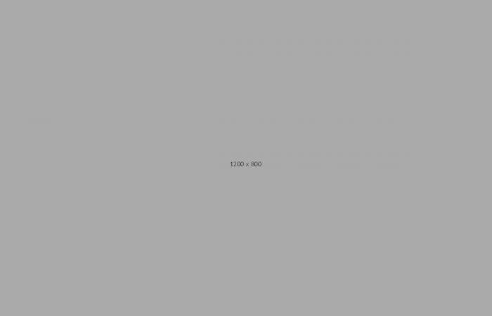 Here What is in the game Deluxe Edition Here What is in the game Deluxe Edition