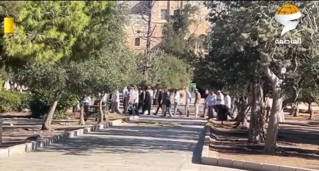 عشرات المستوطنين يقتحمون الأقصى إحياءً لما يسمى عيد الفصح عشرات المستوطنين يقتحمون الأقصى إحياءً لما يسمى عيد الفصح
