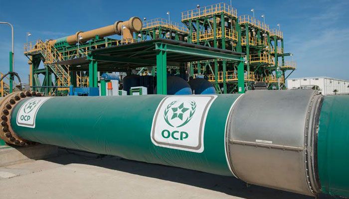 OCP Africa تُعزز الزراعة المستدامة في زامبيا من خلال شراكتين جديدتين OCP Africa تُعزز الزراعة المستدامة في زامبيا من خلال شراكتين جديدتين