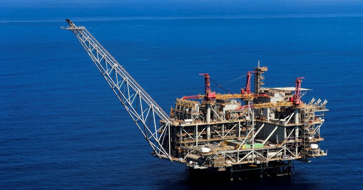 زيادة واردات مصر من أسماك الرنجة خلال شهر يناير الماضي بنسبة 166.5% زيادة واردات مصر من أسماك الرنجة خلال شهر يناير الماضي بنسبة 166.5%