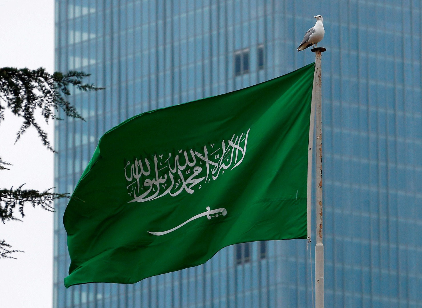 بمستهدفات 80 مليار ريال في 2030.. القيمة السوقية لـ الرياضة السعودية ترتفع لـ 32 مليار ريال بمستهدفات 80 مليار ريال في 2030.. القيمة السوقية لـ الرياضة السعودية ترتفع لـ 32 مليار ريال