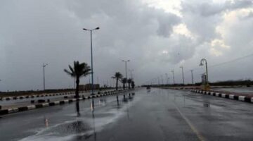 هبوب رياح شديدة وتساقط أمطار خفيفة بكفر الشيخ