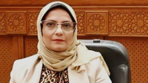 النائبة نجلاء العسيلي: ترامب يُشوه الحقائق وقناة السويس إرث سيادي لمصر النائبة نجلاء العسيلي: ترامب يُشوه الحقائق وقناة السويس إرث سيادي لمصر