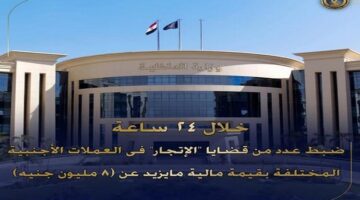 "الداخلية" تضبط قضايا اتجار غير مشروع بالنقد الأجنبي 8 ملايين جنيه