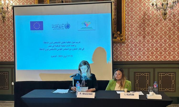 "القومي للإعاقة" يفتتح برنامجا تدريبيا لتوظيف الآليات لحقوق ذوي الهمم "القومي للإعاقة" يفتتح برنامجا تدريبيا لتوظيف الآليات لحقوق ذوي الهمم