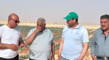 "بحوث الصحراء" يُنفذ سلسلة من البرامج والمشروعات التنموية بسيناء