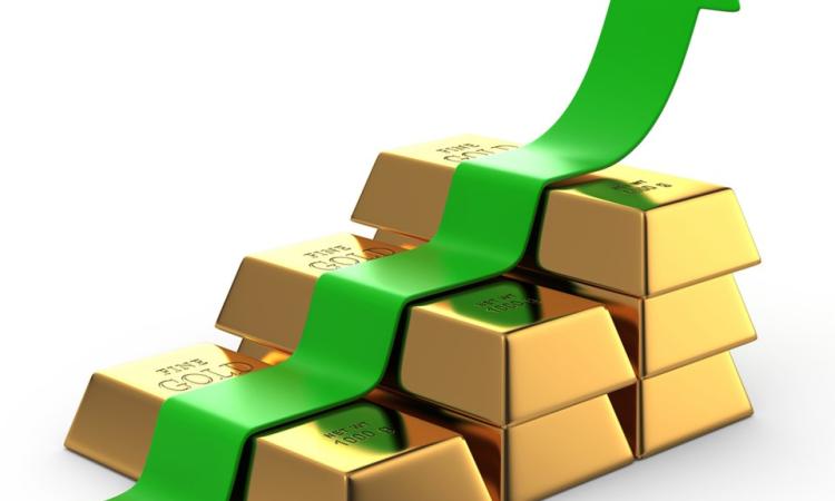 "شعبة الذهب": سعر الذهب في السوق المحلي زاد بأكثر من 31% منذ بداية 2025 "شعبة الذهب": سعر الذهب في السوق المحلي زاد بأكثر من 31% منذ بداية 2025