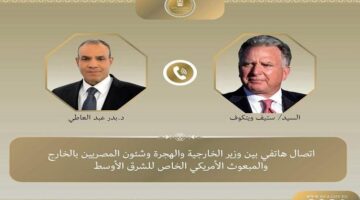 "عبد العاطي" يشدد على ضرورة نفاذ "المساعدات الإنسانية والطبية" إلى قطاع غزة