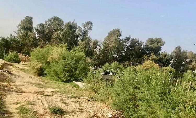 "مياه الفيوم" تعزز الاستفادة من مياه الصرف الصحي المعالجة "مياه الفيوم" تعزز الاستفادة من مياه الصرف الصحي المعالجة