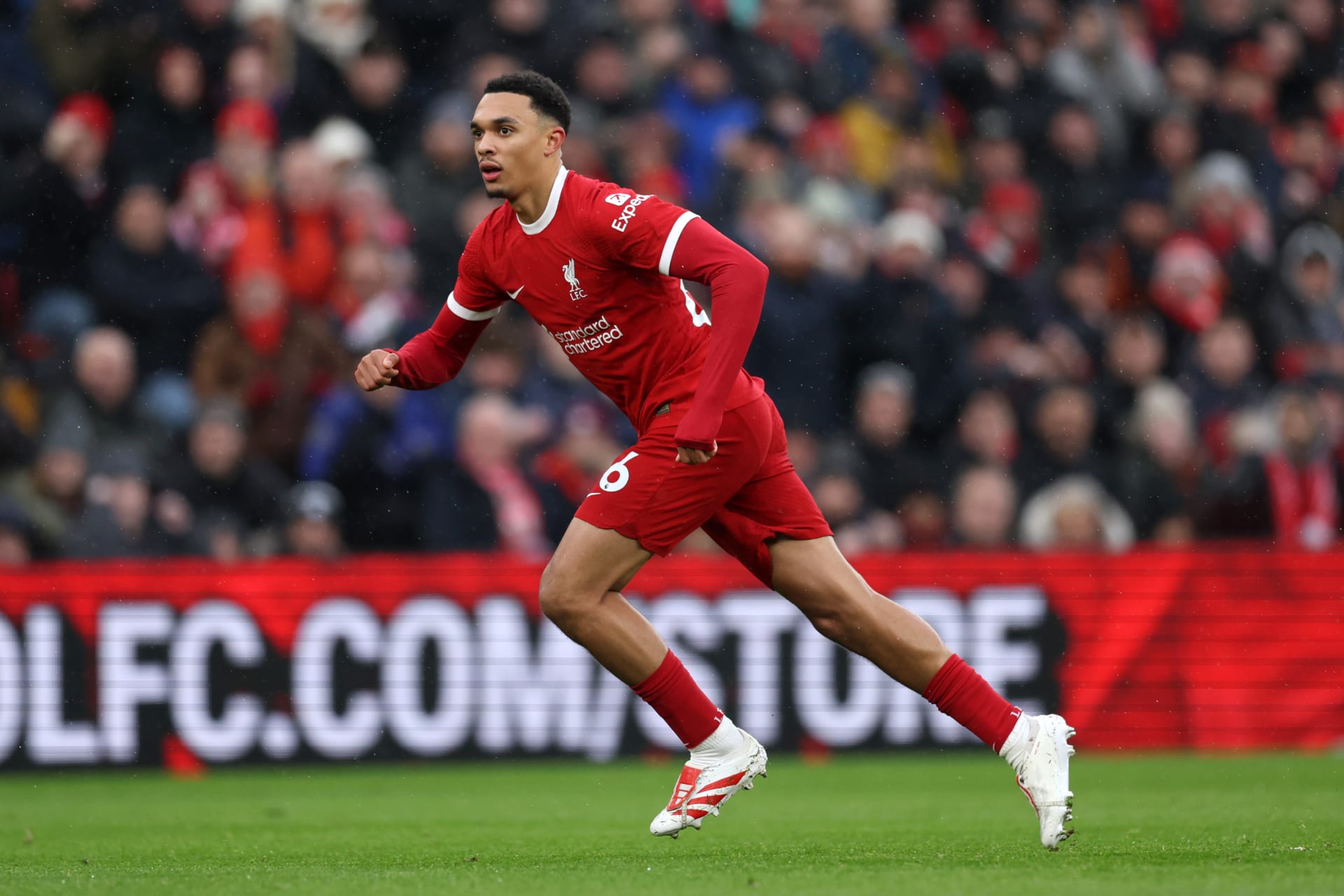 ليفربول يحدد البديل المثالي لأرنولد في الموسم المقبل ليفربول يحدد البديل المثالي لأرنولد في الموسم المقبل