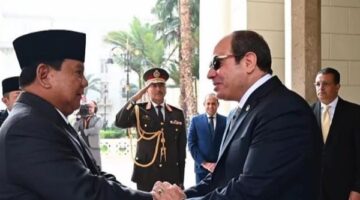أستاذ علوم سياسية: لقاء الرئيس السيسي ونظيره الإندونيسي يأتي في توقيت بالغ الأهمية