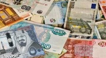 أسعار العملات الأجنبية والعربية اليوم الأحد  في البنك الأهلي المصري