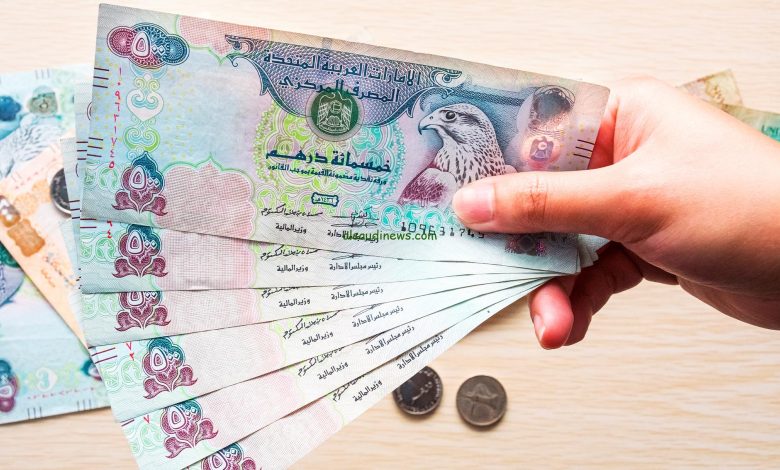 أسعار العملات اليوم.. 13.88 جنيه للدرهم الإماراتي أسعار العملات اليوم.. 13.88 جنيه للدرهم الإماراتي