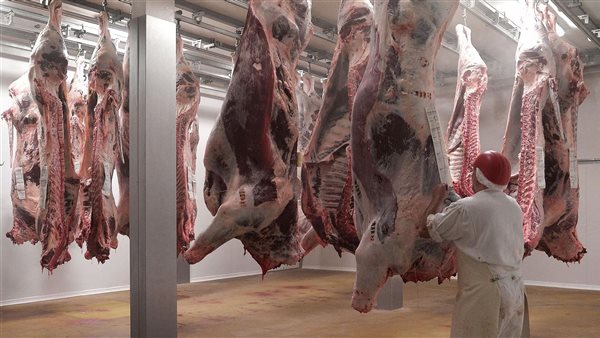 أسعار اللحوم في محلات الجزارة اليوم 12 أبريل 2025