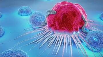 أطعمة تقلل من خطر الإصابة بالسرطان وأخرى تزيده.. تعرف عليها