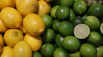 أغلى من التفاح.. متى تنخفض أسعار الليمون بالأسواق فى مصر ؟