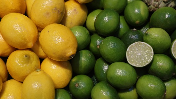 أغلى من التفاح.. متى تنخفض أسعار الليمون بالأسواق فى مصر ؟ أغلى من التفاح.. متى تنخفض أسعار الليمون بالأسواق فى مصر ؟