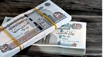 أفعال تؤدي لحرمانك من الدعم النقدي بالقانون الجديد